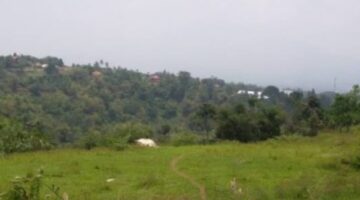 Hak Jawab Terkait Berita Konflik Lahan Desa Pancawati Memanas Petani Vs LSM