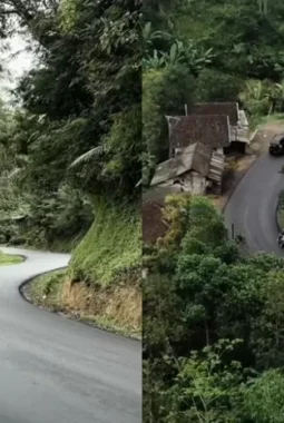 berita-rekomendasi-foto